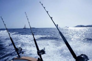 Dia de pesca deportivas